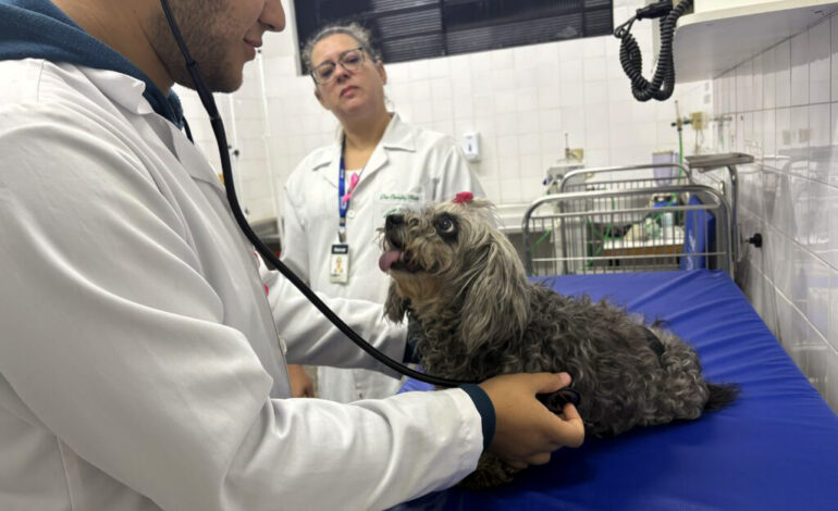Medicina Veterinária da Unimar leva prevenção e conscientização à comunidade.
