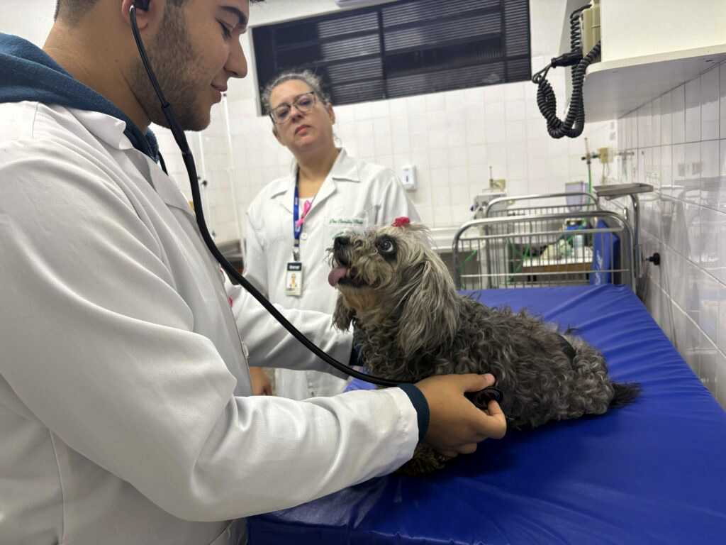 Medicina Veterinária da Unimar leva prevenção e conscientização à comunidade.