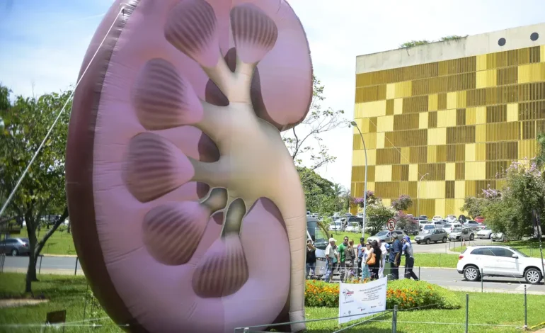 Dia Mundial do Rim: doenças renais são silenciosas e exigem atenção