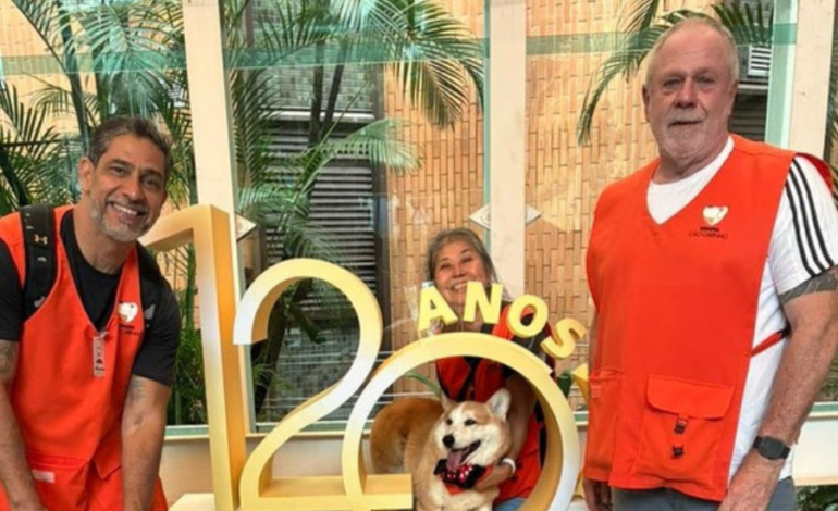 Pets que cuidam: Hospital Santa Catarina firma parceria para visitas terapêuticas com cães