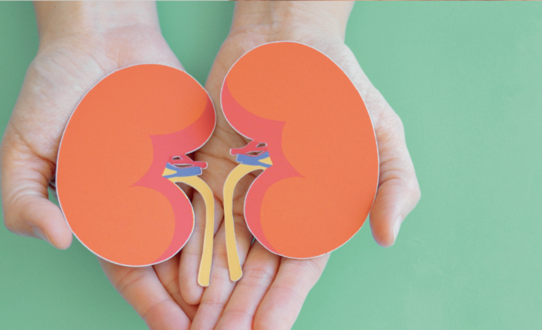 Doença renal vai muito além dos rins: medicina desvenda conexões que afetam o coração e o cérebro
