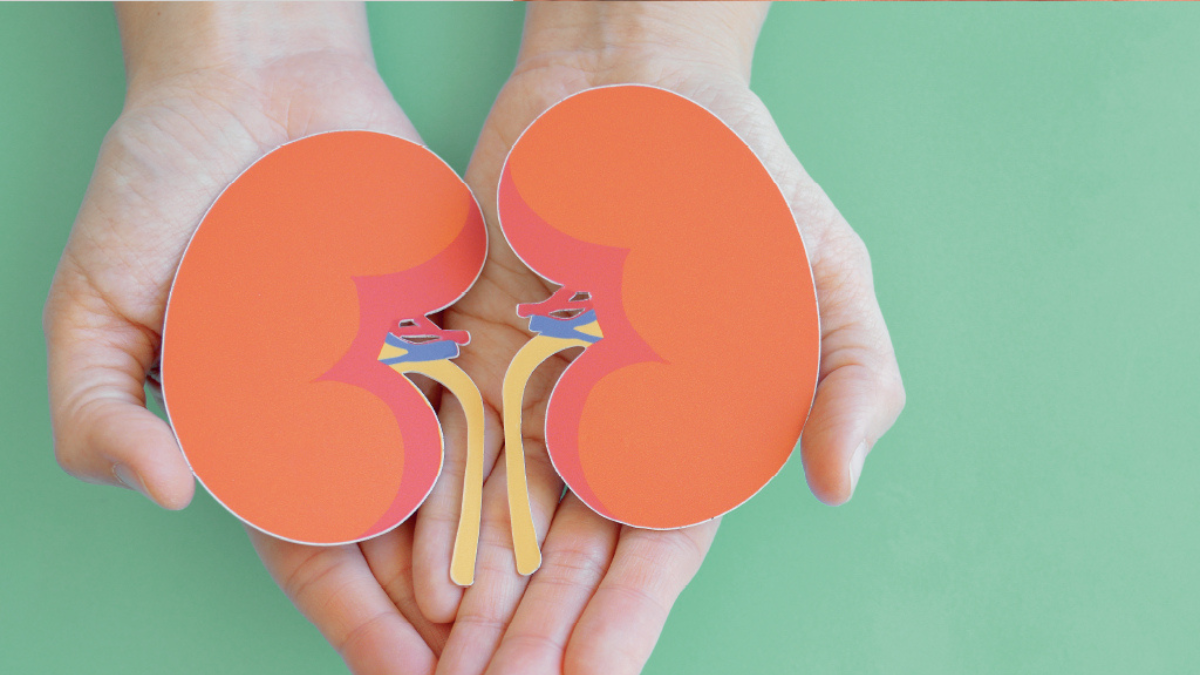 Doença renal vai muito além dos rins: medicina desvenda conexões que afetam o coração e o cérebro