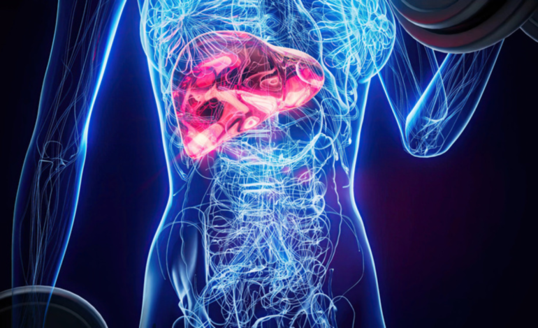 Maio Vermelho: Hepatites B e C aumentam o risco de câncer de fígado