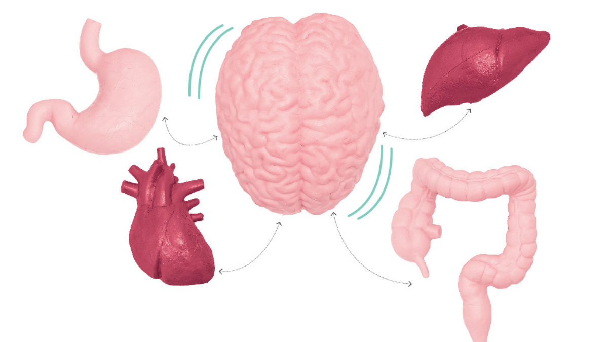 A chave da cura? Entenda a influência do nervo vago na saúde da mente e do corpo