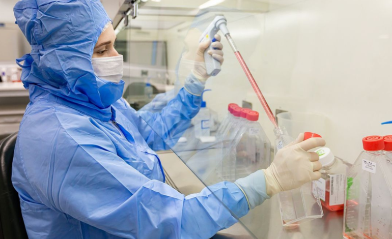 Estudo usa células-tronco contra complicações do transplante de medula