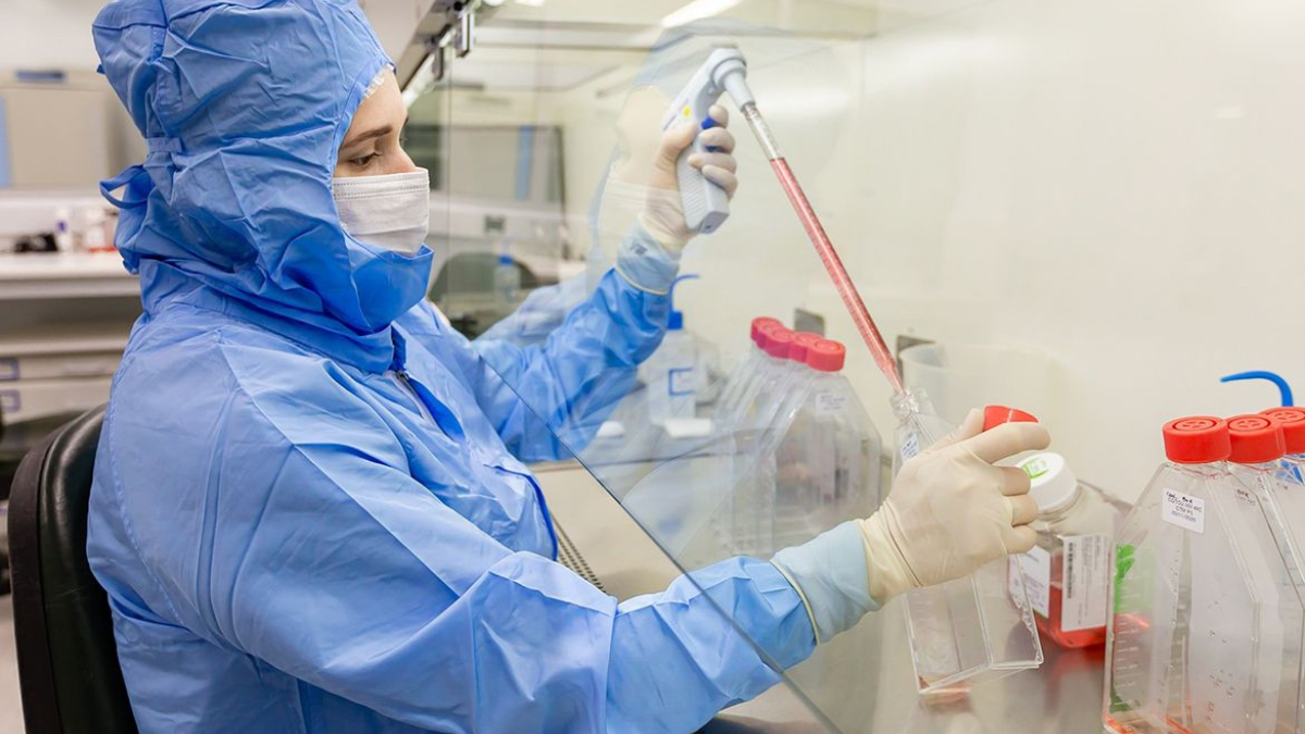 Estudo usa células-tronco contra complicações do transplante de medula