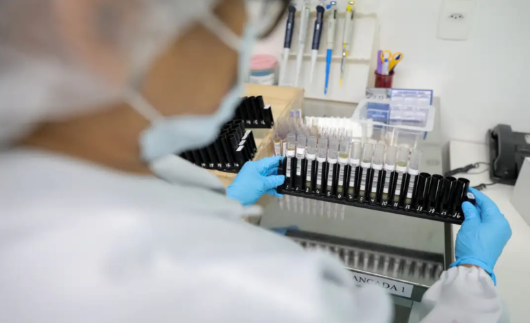 Fiocruz obtém patente para tratamento contra malária resistente