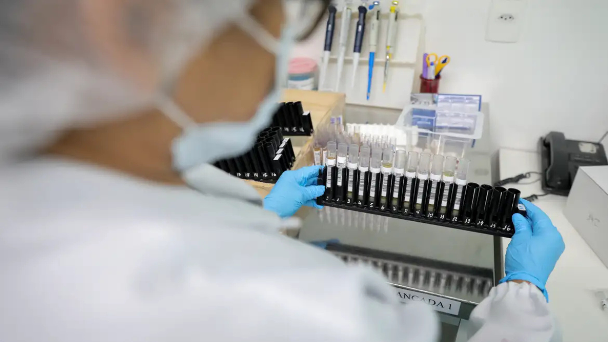 Fiocruz obtém patente para tratamento contra malária resistente