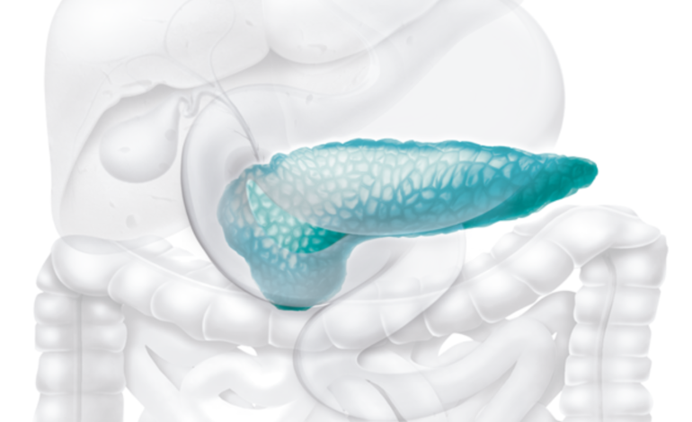 Conheça a primeira caneta que reduz gordura no sangue e previne casos de pancreatite
