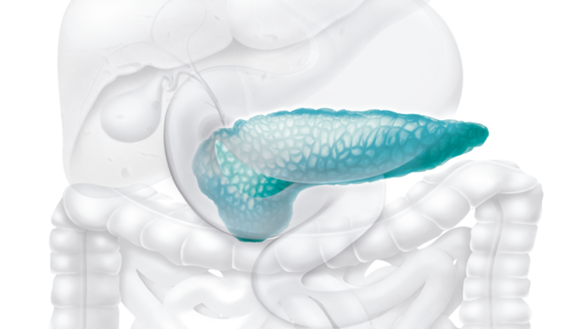 Conheça a primeira caneta que reduz gordura no sangue e previne casos de pancreatite