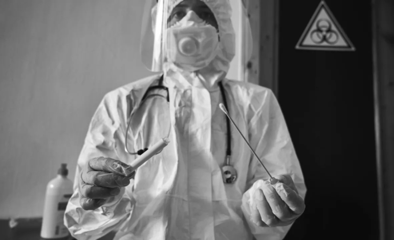 Ebola no Brasil? Especialistas analisam o risco real de circulação do vírus no país