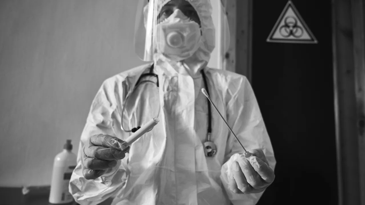 Ebola no Brasil? Especialistas analisam o risco real de circulação do vírus no país