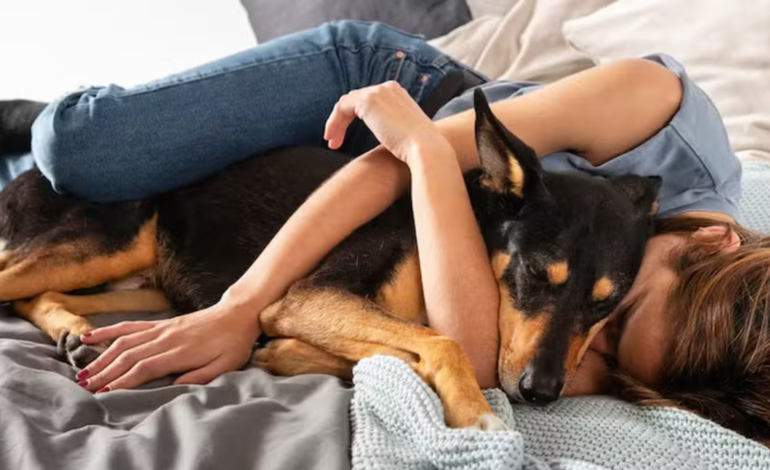 Dividir a cama com o seu bicho de estimação faz bem ou mal para a saúde? Conheça os prós e contras