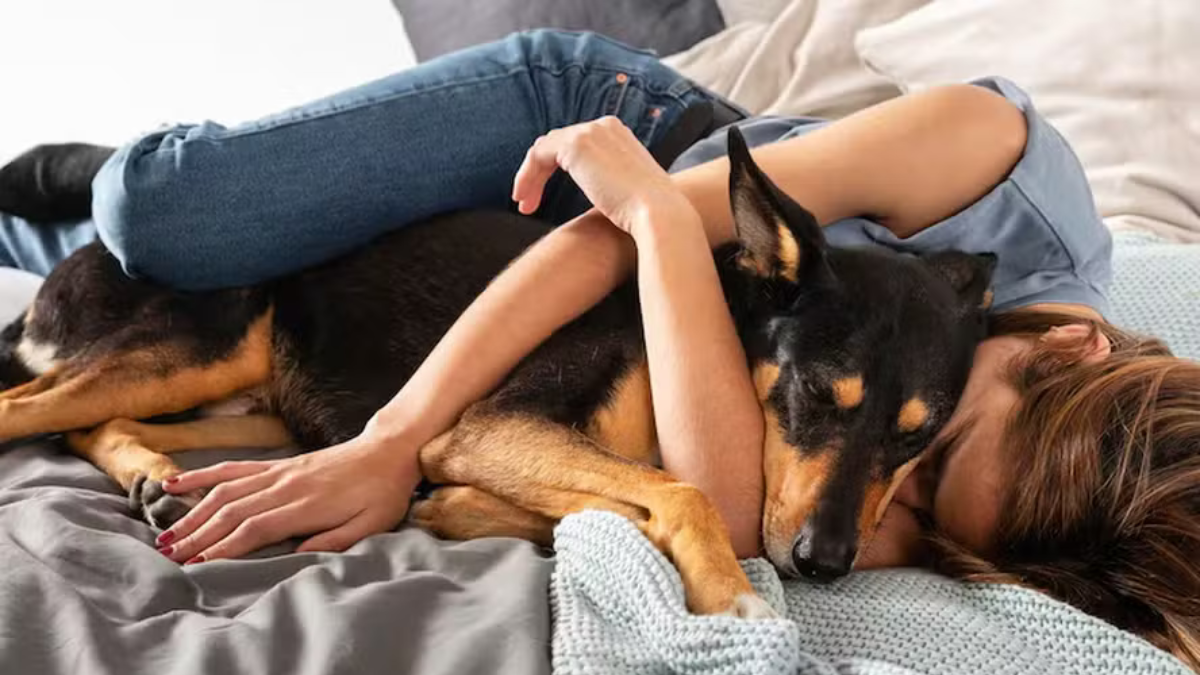 Dividir a cama com o seu bicho de estimação faz bem ou mal para a saúde? Conheça os prós e contras