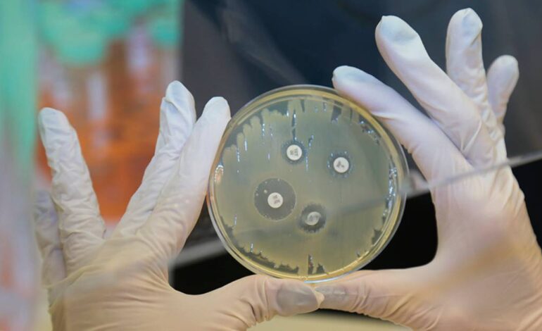 Aumento dos níveis de resistência a antibióticos é ameaça à saúde global, diz OMS
