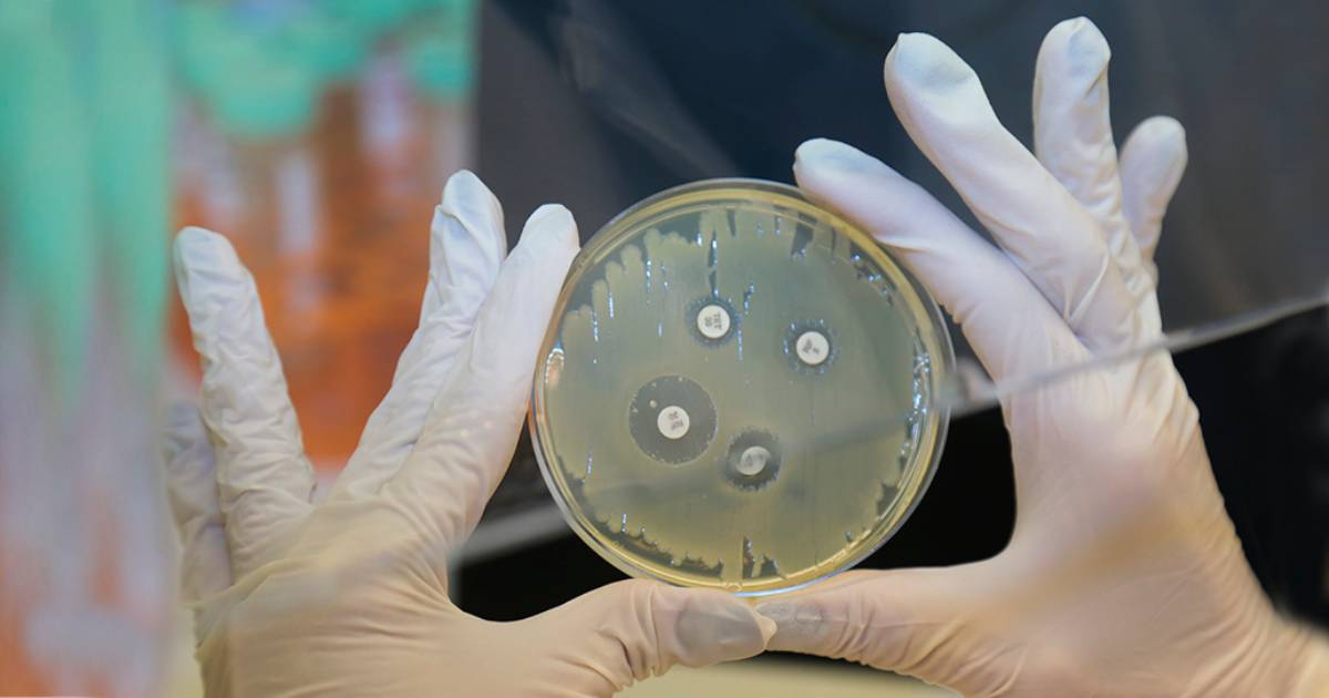 Aumento dos níveis de resistência a antibióticos é ameaça à saúde global, diz OMS