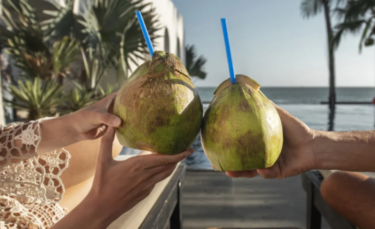 Mito ou verdade: água de coco hidrata mais que água mineral?