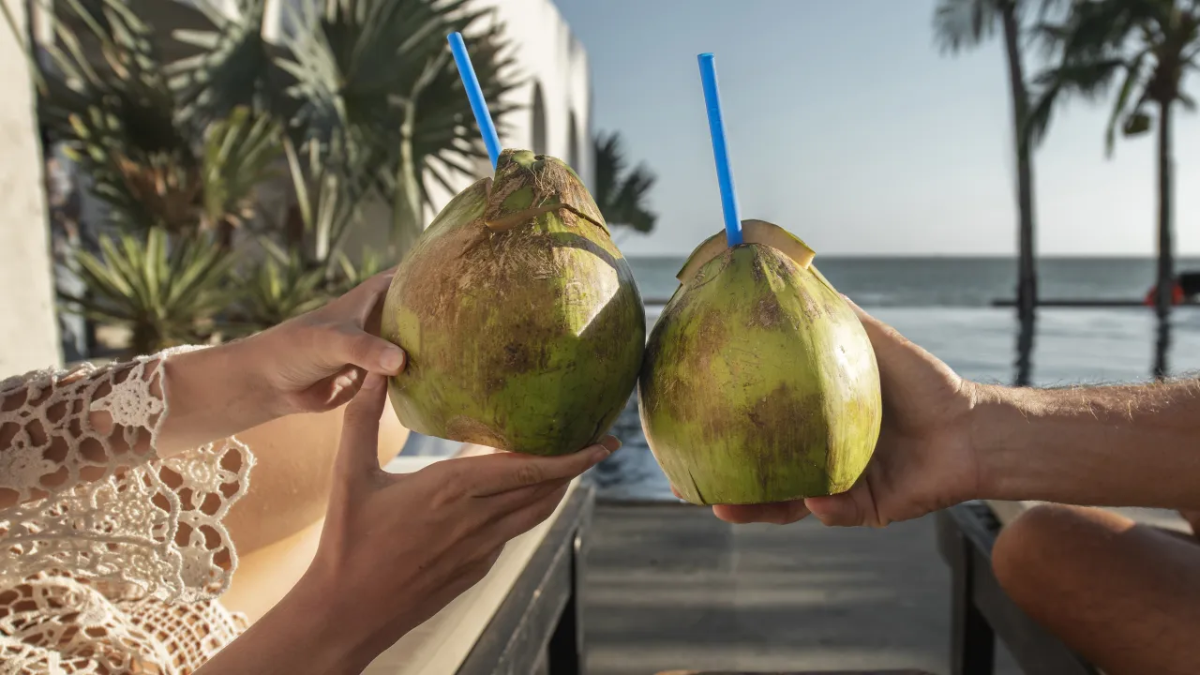 Mito ou verdade: água de coco hidrata mais que água mineral?