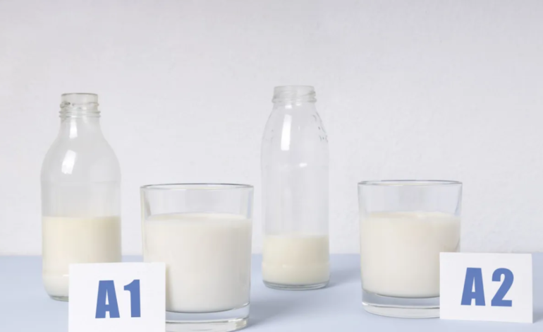 Leite A2 Realmente É Mais Leve? Entenda as Diferenças e Quem Pode se Beneficiar