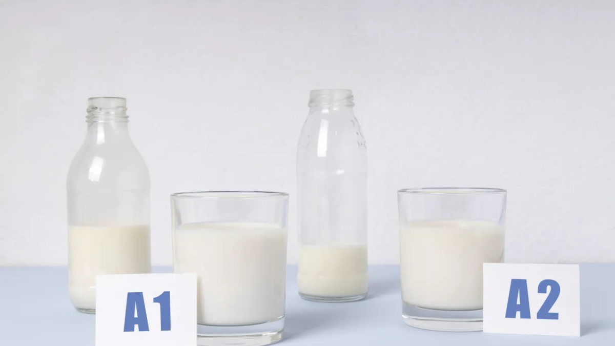 Leite A2 Realmente É Mais Leve? Entenda as Diferenças e Quem Pode se Beneficiar