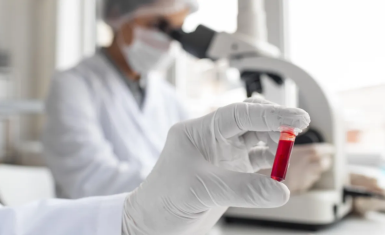 Qual o Melhor Exame Para Detectar o Seu Nível de Vitamina B12? Veja o Que Diz a Ciência