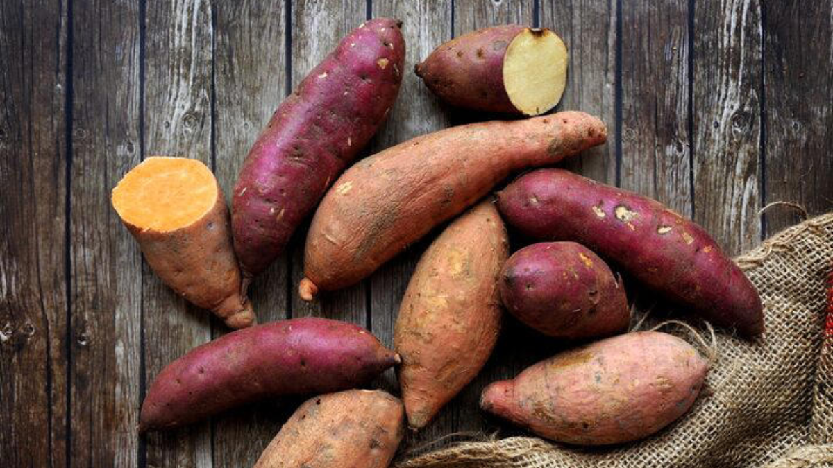 Conheça os 4 principais benefícios da batata-doce para a saúde e veja como preparar
