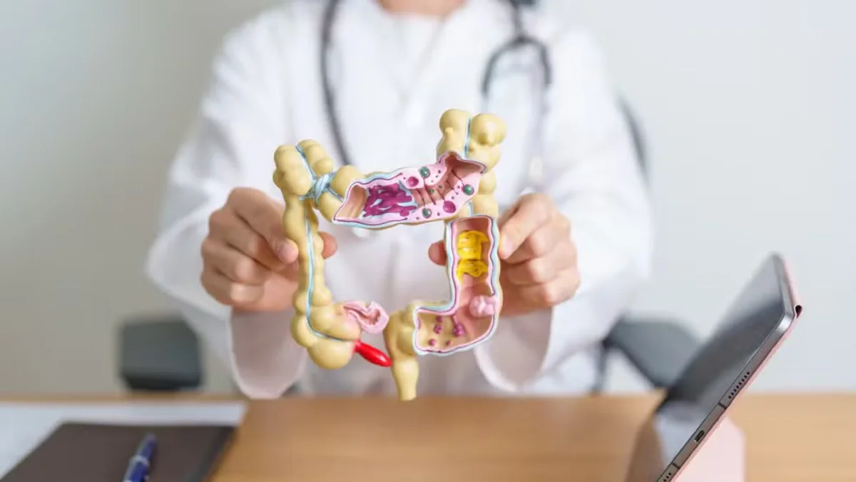 Prevalência de doenças inflamatórias intestinais cresce mais de cinco vezes no Brasil em 13 anos