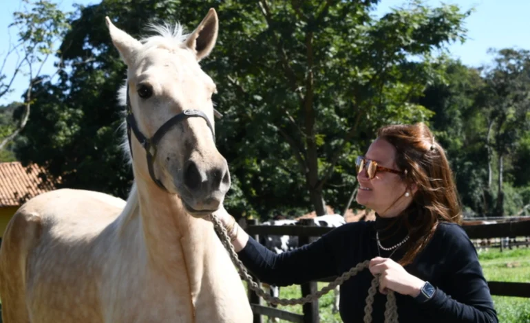 Terapia Assistida por Animais ajuda crianças e jovens em acolhimento a reconstruírem vínculos afetivos