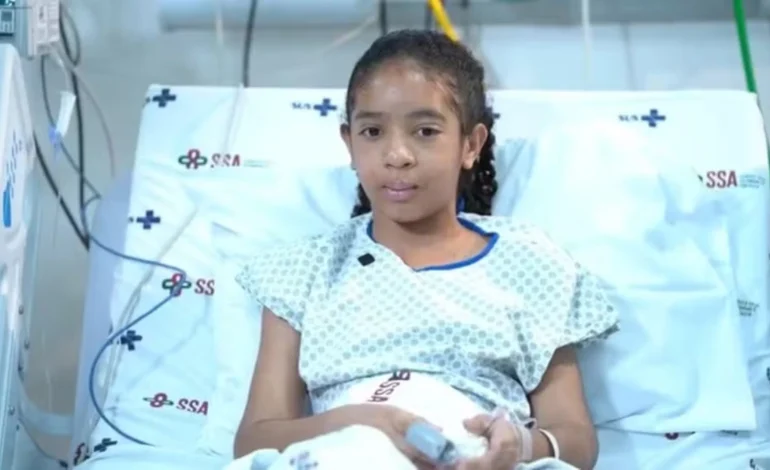 O que fazer ao ser atacado por abelhas? Veja dicas de especialista após caso grave em MG