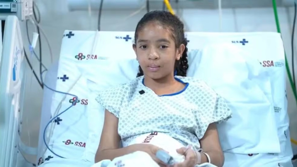 O que fazer ao ser atacado por abelhas? Veja dicas de especialista após caso grave em MG