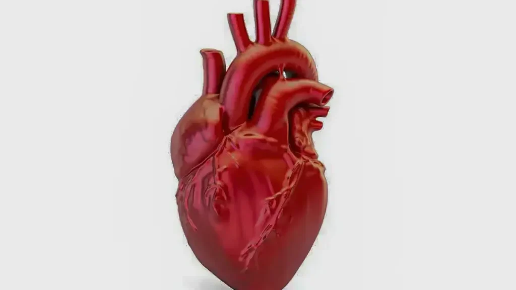 A cada 72 segundos, uma pessoa morre por doença cardiovascular no país | Revista Saúde em Forma SITES 20 1 1024x576