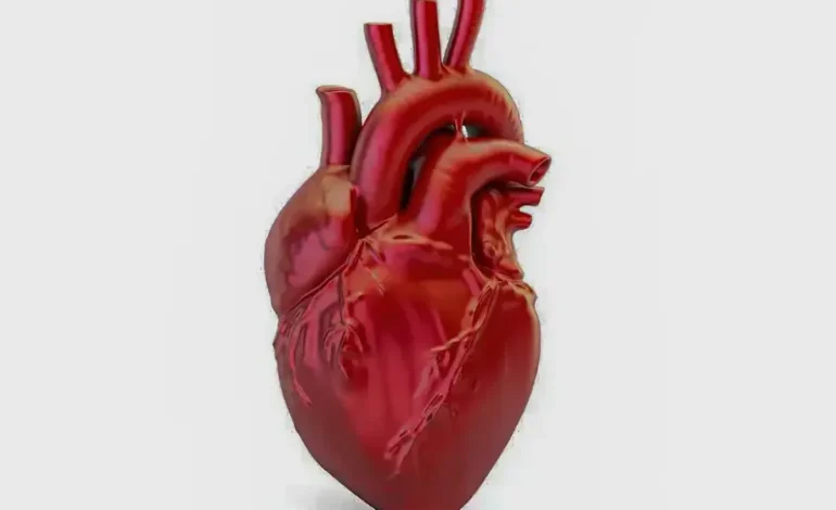 A cada 72 segundos, uma pessoa morre por doença cardiovascular no país