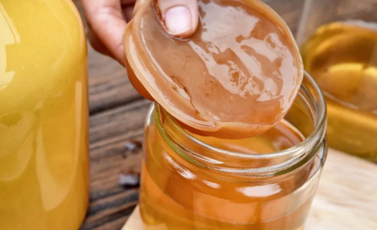 Kombucha Promove Saúde Intestinal e Auxilia Até no Combate às Hemorroidas