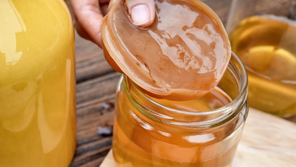 Kombucha Promove Saúde Intestinal e Auxilia Até no Combate às Hemorroidas